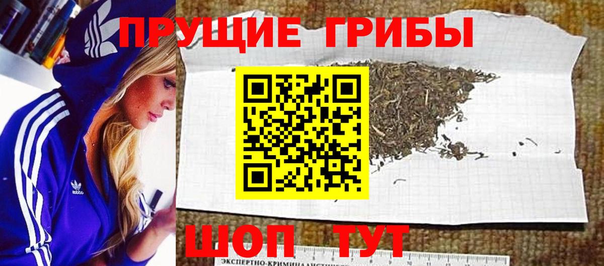 Галлюциногенные грибы Cubensis Камень-на-Оби