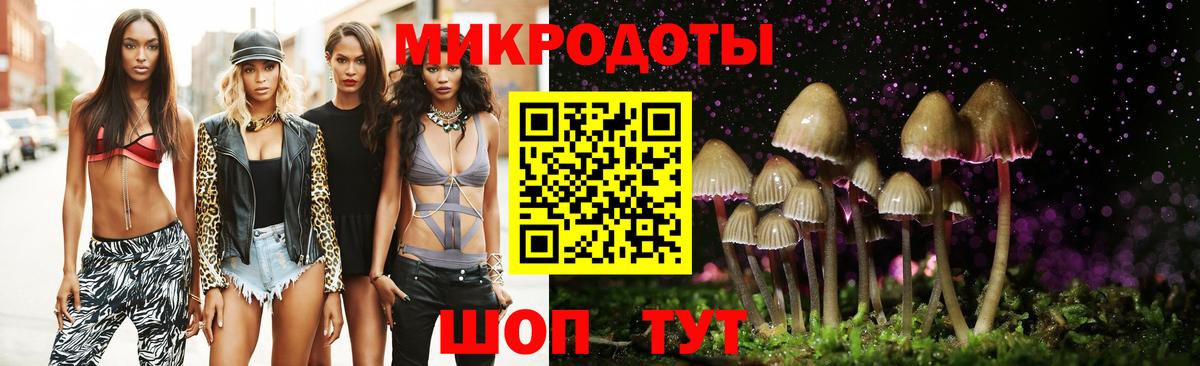 Псилоцибиновые грибы мицелий  Вход с VPN  Камень-на-Оби  Псилоцибиновые грибы MAGIC MUSHROOMS 